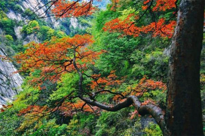 平顶山尧山风景区